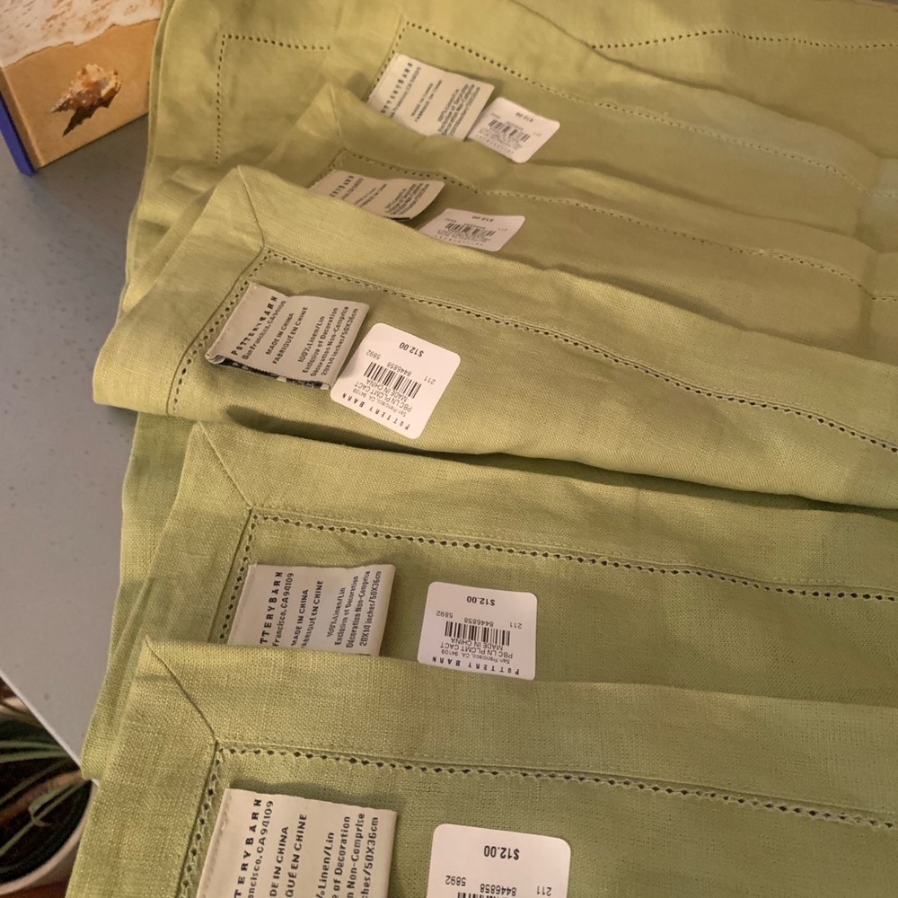 POTTERY BARN, NEW WITH TAGS 5 Cactus Green Placemats. Buy 4 get 5th one FREE. - Picture 2 of 5
